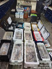 옆 사람은 계속 잡는데 나는 왜 못 잡을까..? 나이키호 6월13일 입항 여수 한치낚시 조황 소식 입니다. 사진