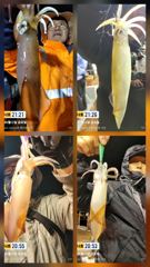 6월12일 한치조황!! 오늘도 달립니다~ 소수인원이라도 출항합니다~전화주세요 사진