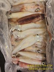 한치 매일 호조황!! 월요일부터 예약가능 사진