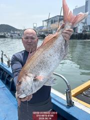 일요일 4분 참돔흘림