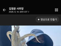 6월14일 조황 사진
