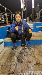 여수 힐링호 14일 입항 한치 대박조황!! 사진