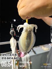 화살촉오징어~ 초대박 우당탕 청기백기, 느나느나~ 사진