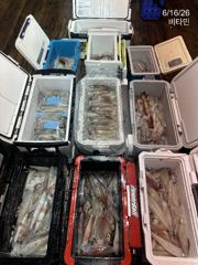 한치 먹물 파티 오늘도 고고고~.오늘, 내일 예약가능 사진