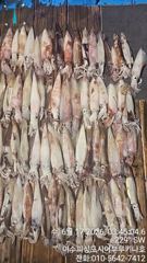 16일 먼바다갈치 한치 조황 입니다.내일 한치 정상 출조 합니다.자리 여유..여수피싱도시어부 16석 루키나호  사진