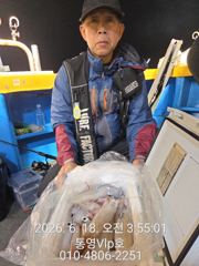 6월18일입항조황 사진