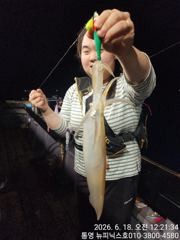 한치 18일 입항조황입니다 목,금 예약가능 사진
