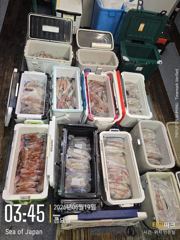 친구야가자호 ))대포 야리 쌍걸이 터진날 사진