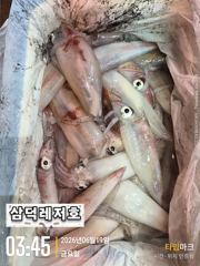 [한치]대포한치,기봉50수부터,장원100수(일요일,소수인원,출항확정) 사진