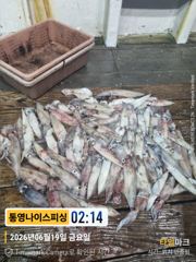 통영나이스피싱 100수초대박 터지는 새벽피딩  일요일자리여유 사진