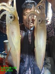 세자리수 한치 사진