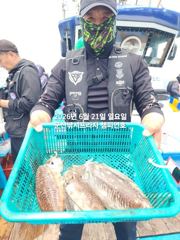 21일, 연일 싸이즈 쥑이는 타조알 갑오징어~싸이즈 좋아요~내일도 갑니다~군산 챔피언호 사진