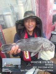 21일, 오늘도 먼침선 통통한 개우럭, 쌍걸이,등 ~실시간~내일도 갑니다~강추~군산 하이원호