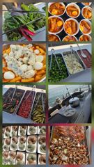 오늘의조황 - 26.06.15 대천항 루피호 광어다운샷 조황 - 대천항 선상 낚시 - 팀루피호, 루피호, 슈퍼맨호 사진