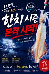 [한치]기본50수는.가뿐히,넘기고,마리수(목,금,출항,예약중) 사진