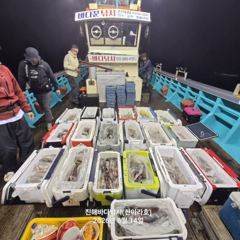 신아라호 목요일부터 출항 사진