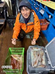 한치 달립니다. (오늘 예약 가능합니다.  사진
