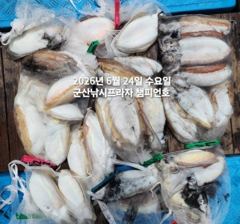 24일,빵빵한 타조알 갑오징어~싸이즈 좋아요~굿~오늘도 야간 갑오징어 갑니다~군산 챔피언호 사진