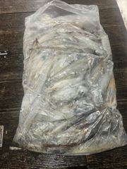 6월25일 제주쎄븐호 한치조황