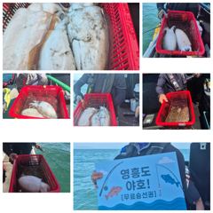 26.6.26(금) 왕갑오징어 출조했어요 사이즈들이 굿굿 사진
