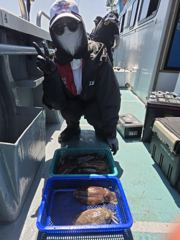 6월26일 왕갑오징어 조황 사진