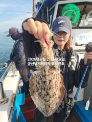 27일, 싸이즈 굿~ 대포알 갑오징어~~~실시간~오늘 야간 고등어,삼치 갑니다~군산 챔피언호 사진