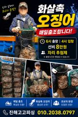 화살촉오징어 매일 먹물잔치!!