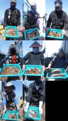 6월 28일 왕갑이 10분 조황 사진