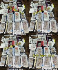 "한치" 피딩~쿨러가득~70수이상~ (예약가능합니다) 사진