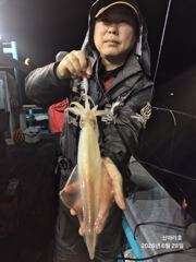 27일 신아라호 반짝 피딩타임 한치조황 사진
