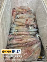 우당탕탕[한치~한치]일요일 달립니다[예약가능] 사진