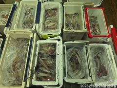 왕한치늦은피~딩전원100수40수손맛장!!! 사진
