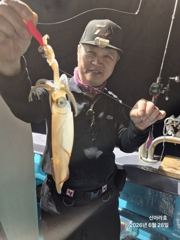 28일 신아라호 한치조황 사진