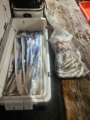 6월29일 제주 쎄븐호 한치 갈치 조황