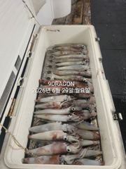 제주갈치는 제주답게~ 제주 구룡호(9DRAGON) 6월 28일 일요일  <<< 갈치 출조 >>> 사진