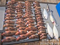 6월30일 우탕탕탕~~붉바리철수조황입니다^^ 사진