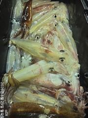 왕한치늦은피~딩먹물잔치전원65수~30수손맛굿~~ 사진