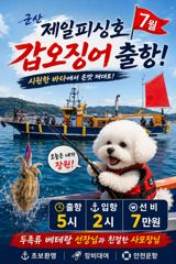 ⭐군산제일피싱호⭐갑오징어 출조 선비7만원 사진