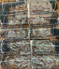 화살촉오징어  손맛가득 목,금,토,일 예약가능합니다  사진