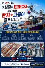 통영 VIP만물호 먼바다 한치+고등어 다잡아!!(채비제한 쿨러제한없이 )! 사진