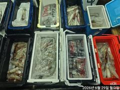 왕한치세자리수손맛보려목요일부터달립니다 사진