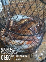 화살촉 오징어~ 3일4일 졸업식 갑니다~ 사진