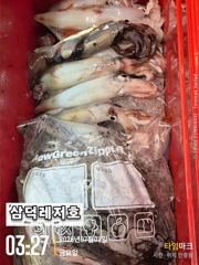 [한치]대포한치,만쿨,반쿨,빈쿨(오늘,소수인원,출항확정,토요일,예약중) 사진