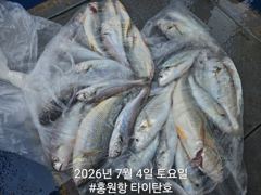 홍원항 타이탄호 7월4일(토) 백조기&부서 조황~ 사진