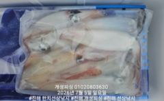 대포급 왕 한치 먹물 폭탄 한치 쿨러조황 월요일부터 예약가능 사진