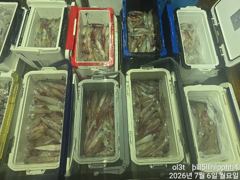 6일입항왕한치우당~탕먹물잔치전원80수~50수손맛짱!!! 사진