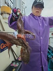 [통영대교피싱]대빵구리 문어들 실시간 사진