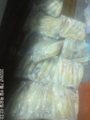 씨알좋은왕한치7분과세자리수~70수손맛짱!!! 사진