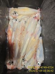 한치 청기백기하러 갑니다! 오늘 예약가능! 사진