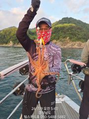 7월9일 돌문어 조황입니다~!~!~!~!~!~! 사진